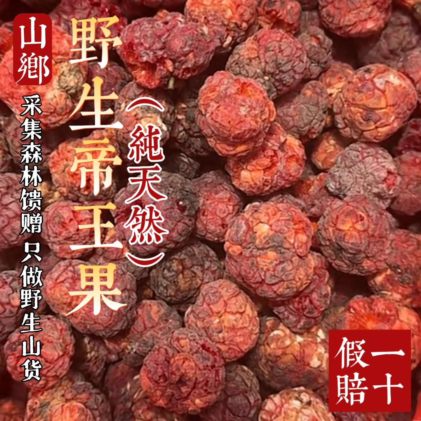 山乡药域 野生帝王果纯野生农家烘晒柘果搭紫杉果泡水云南帝王果