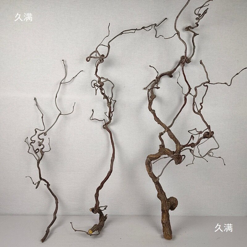 禅意干枝摆件龙枣树树干原木居装饰壁挂多分叉造型龙枣枝手感保湿