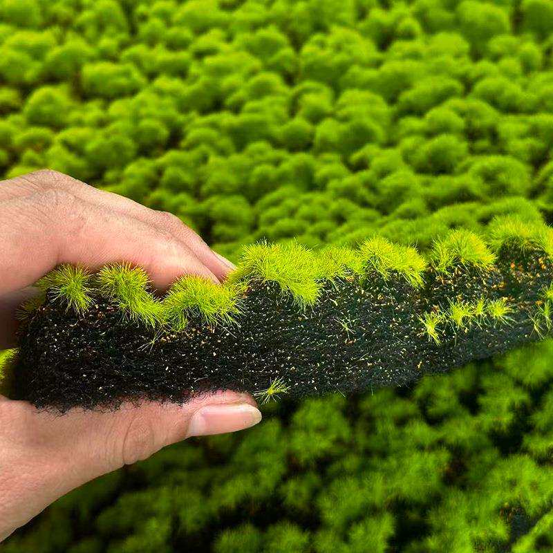 仿真苔藓绿色假苔藓植物墙青苔微景观盆景造景装饰草坪草皮