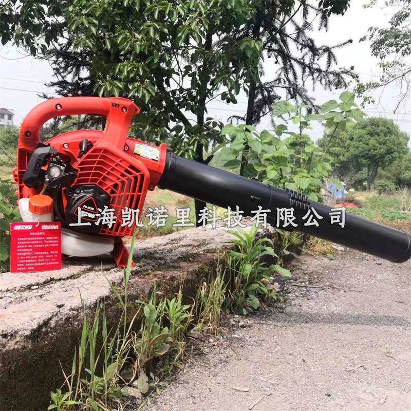 爱可PB-2520二冲程风力灭火机手提式吹雪机吹风机吹尘机/ECHO原装