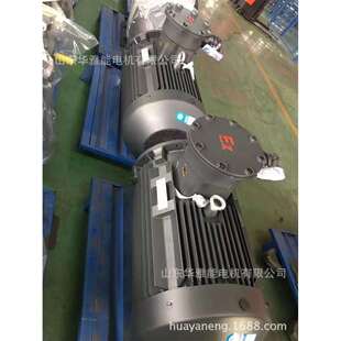 YZRE100L2 3KW电机替代西玛电机YZR隔爆电机异电压异频率宽电压