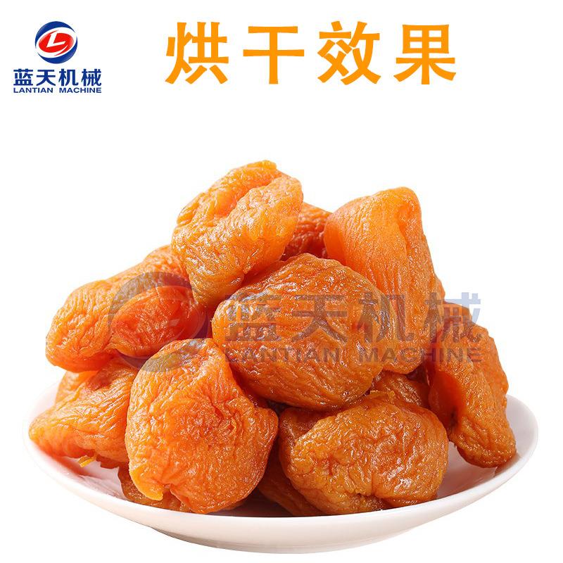 蓝天黄杏烘干机 电加热杏子干烘干机 水果干脱水烘干箱设备全自动