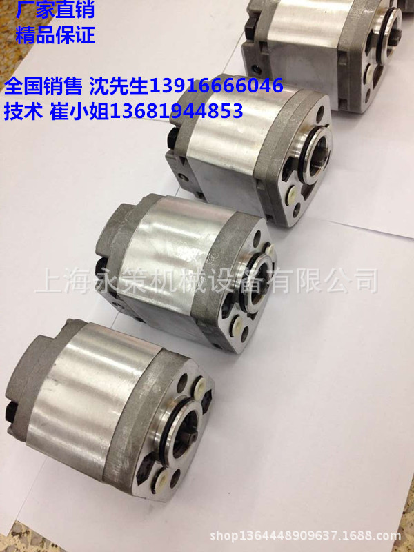 液压双向齿轮油泵 微型双向泵CBK-3.2双向油泵CB-E3.2小泵CB-E2.0