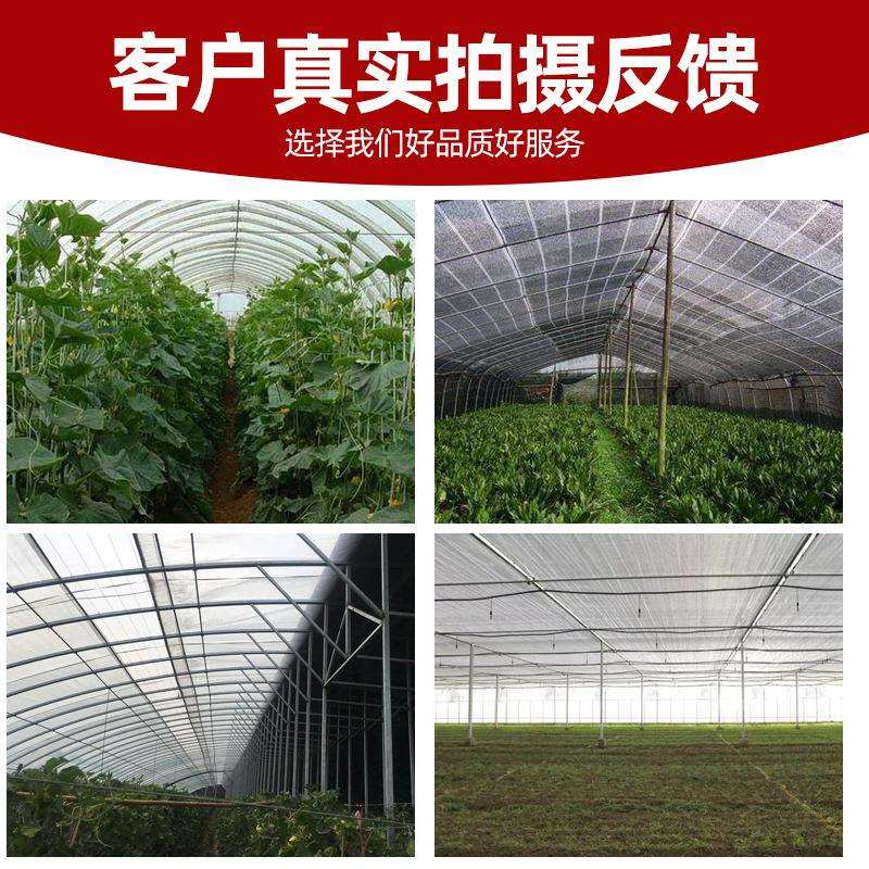 柑橘专用遮阳网整卷农用苗木遮阴网防蚜虫紫外线抗UV加厚全遮光