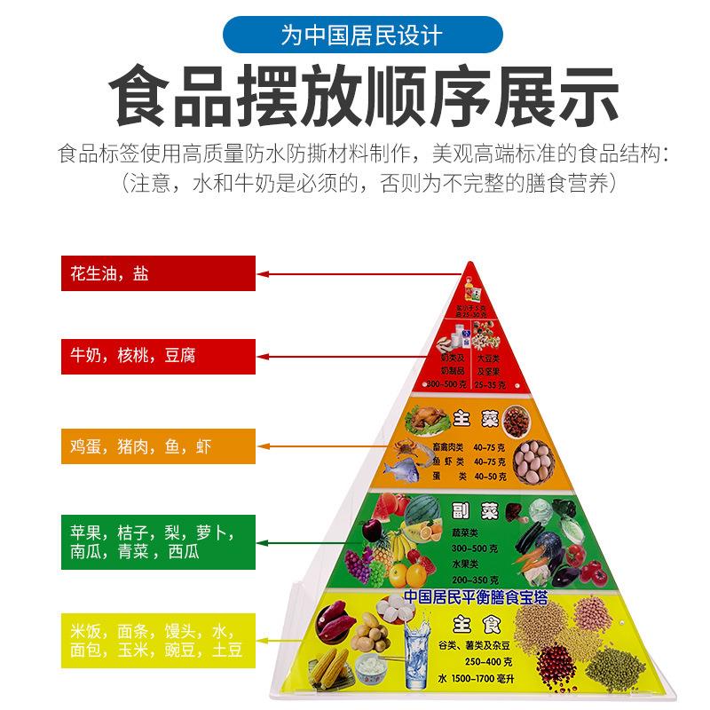 2022中国居民平衡营养指导膳食宝塔模型仿真食物金字塔交换份模型