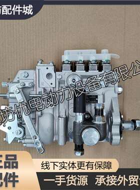 柴油高压油泵13060611喷油泵总成潍柴道依茨WP4CD船用柴油发动机