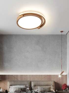 北欧风格卧室吸顶灯 新款简约日式走廊灯大气小众圆形半环客厅灯