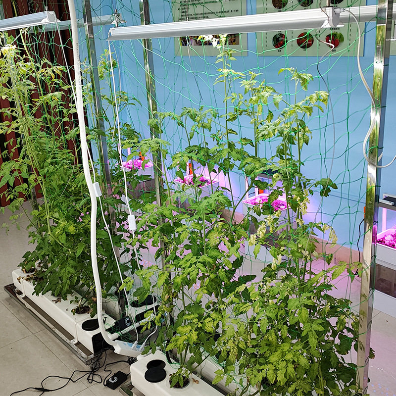 无土水培设备果蔬栽培架适用叶菜类番茄黄瓜辣椒豆角等攀爬类植物