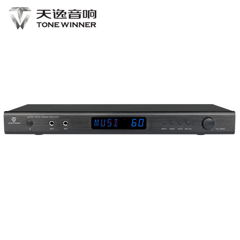 Winner/天逸 AD-308 专业卡拉ok混响器家用ktv数字前级效果器