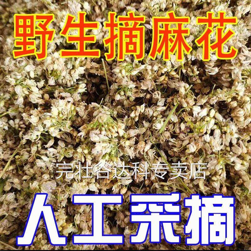 2024新货摘麻花扎蒙花野葱花精品农家摘蒙花干葱花炝锅调料野韭菜