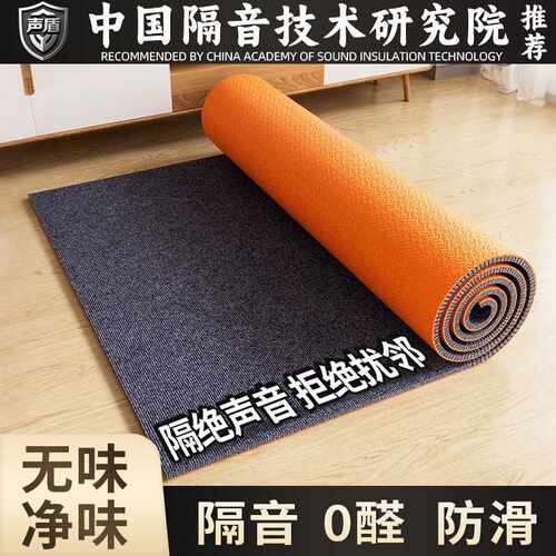 家用卧室吸音隔音地毯加厚楼层隔音减震室内跑步机健身地垫子