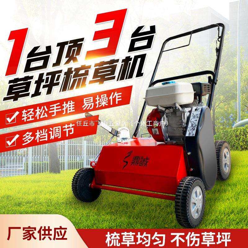 草坪梳草机汽油手推式草地枯草打理切根养护杂草梳理清除清理机
