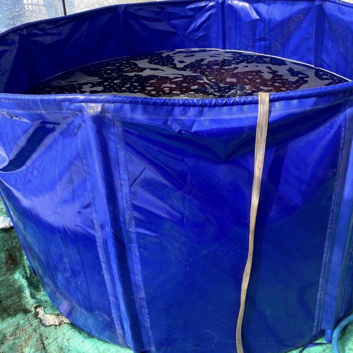 水稻催芽桶折叠泡稻子大容量加厚便携式谷种农用家用浸种袋催芽器
