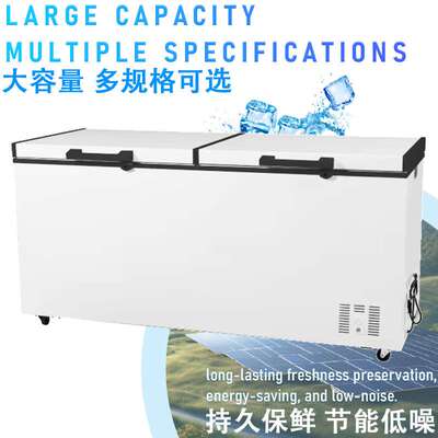冰柜商用双门卧式冷柜家用冷藏冻柜冰箱Chest Freezer2021款 铜管