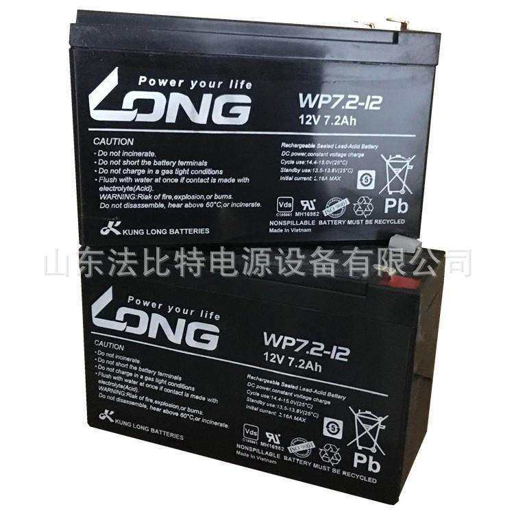 LONG广隆蓄电池WPS12-12免维护12V12Ah风能发电 质保一年