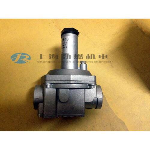 RG015-FT-2B意大利GECA RG020-FT-2B,RG025-FT-2B,RGD25-FT-2B