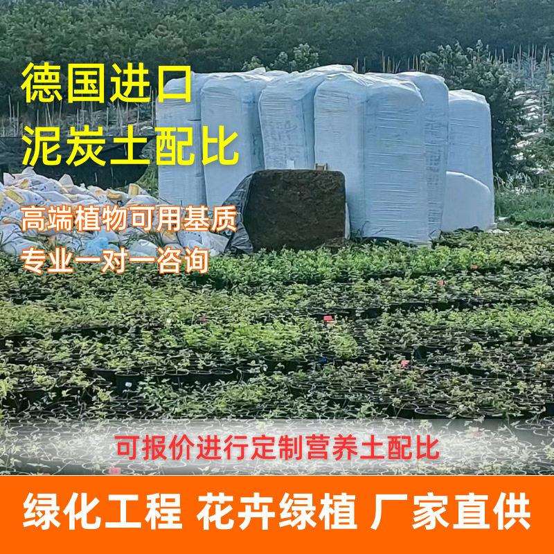 有机营养土种植土通用型养花种菜土绿萝多肉泥土花 进口泥炭土