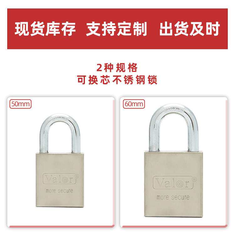 不锈钢可换芯挂锁锁芯全铜户外防锈防剪家用防盗锁具安全美式风格