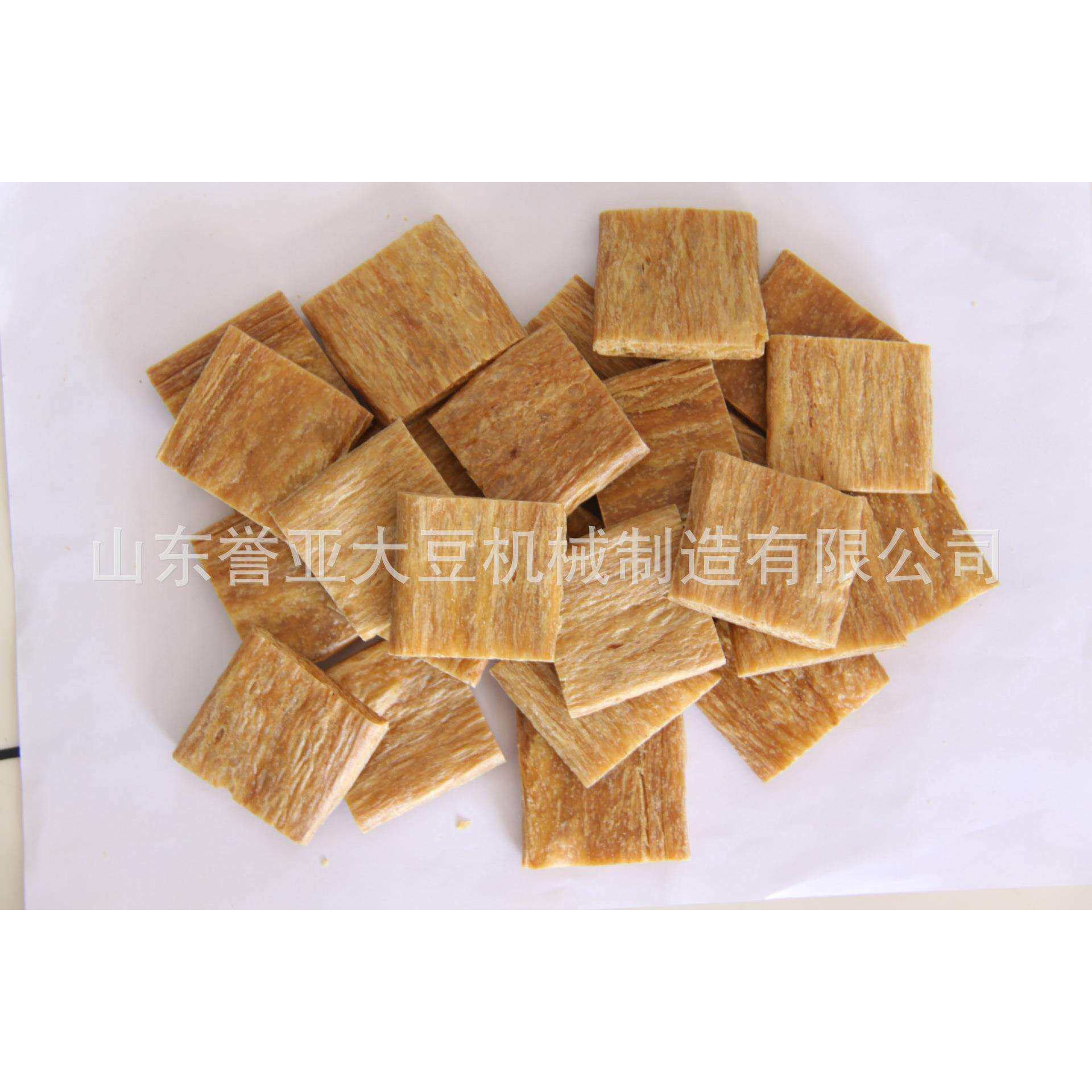 誉亚供重庆人造蛋白素肉牛排豆皮机免煮自熟面皮机挤压膨化面条机