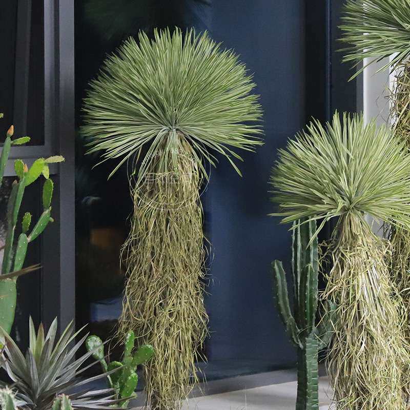 热带沙漠植物沙生植物造景大型落地盆栽稻草人假树盆栽橱窗绿植