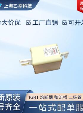 巴斯曼熔断器 170M5650 170M5658 170M5659 170M5660 170M5661
