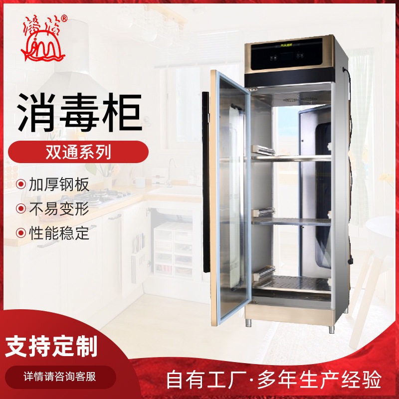 消毒柜双通系列商用立式不锈钢双开门餐饮餐具热风循环家用碗柜