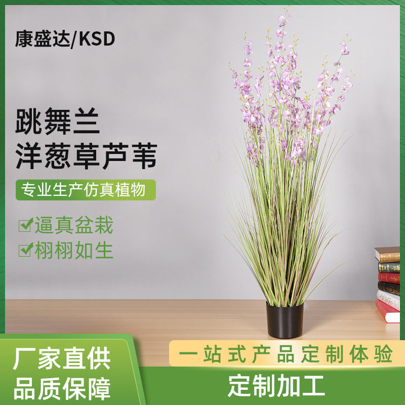 仿真绿植跳舞兰洋葱草芦苇盆栽家居装饰品道具粉紫色跳舞兰洋葱草