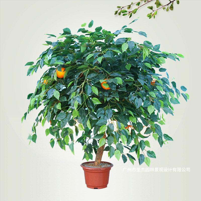 仿真橘子树假植物室内装饰客厅摆件仿真植物办公室果树绿植盆栽