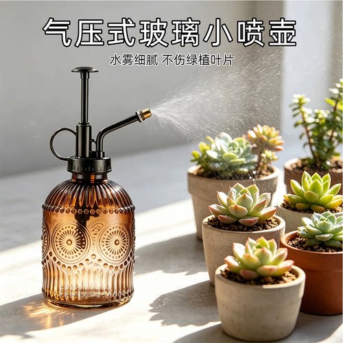 复古ins玻璃气压消毒喷壶