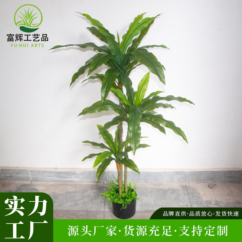 仿真巴西铁绿植家居装饰铁树盆景造景道具绿巴西摆件批发人造铁树
