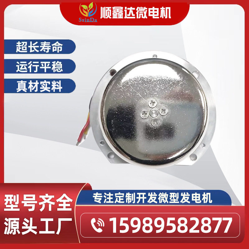 微型发电机/50W手摇发电机/健身器材脚踩发电机