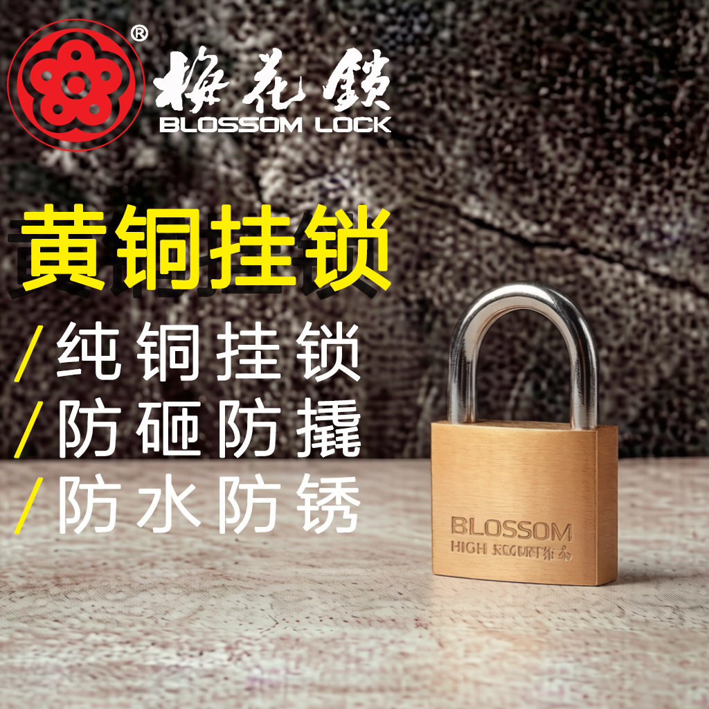 梅花弧形全铜锁芯锁身挂锁户外防水防锈耐用挂锁锁小门栅栏门45mm