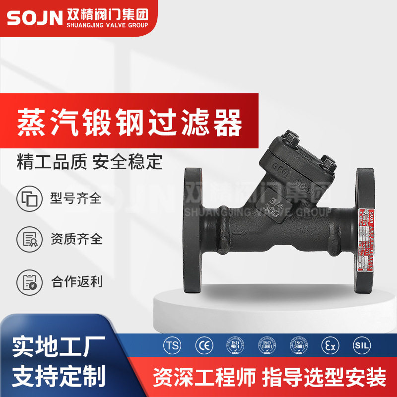 锻钢法兰过滤器 铸钢Y型过滤器 铸钢法兰过滤器 过滤器