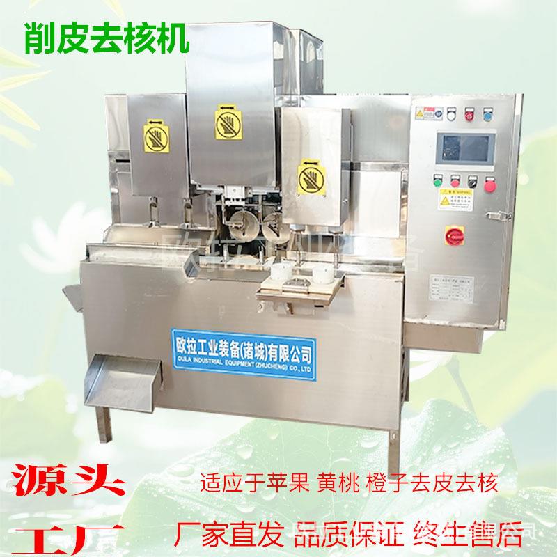 脆梨工业削皮去核机 水果去核设备 商用全自动去核加工生产线