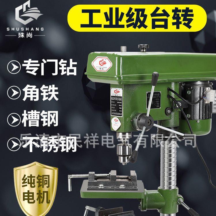 台钻工业级台转钻床家用16MM20MM小型多功能钻攻两用大功率重型铣