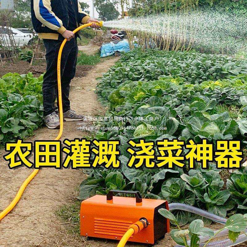 充电式自吸抽水泵大功率电瓶泵农用灌溉12V小型家用浇菜水泵铸铁