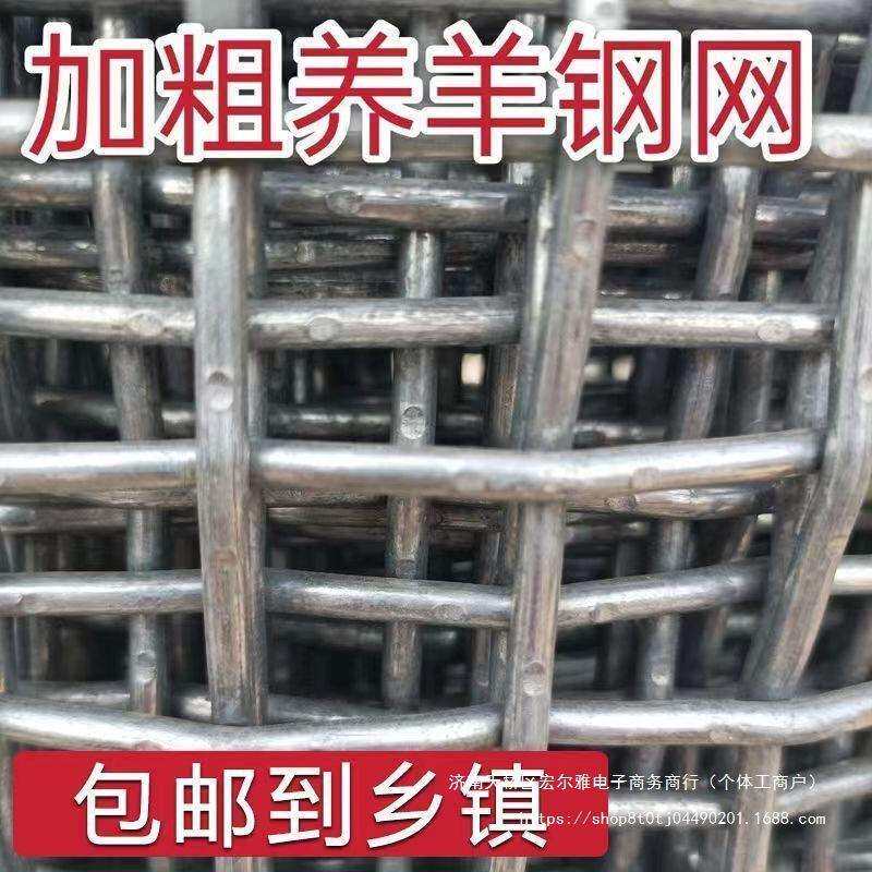 羊床网养羊网养鸡鸭鹅漏粪钢网养殖围栏网热镀钢丝网加粗超硬钢丝