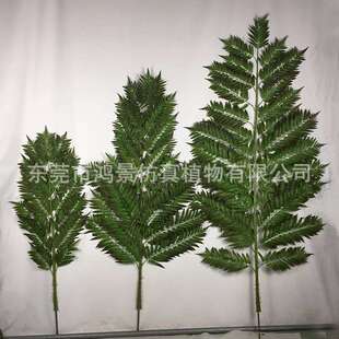 仿真桫椤叶桫椤树人造绿植盆栽盆景假沙罗叶厂家 装饰园林厂