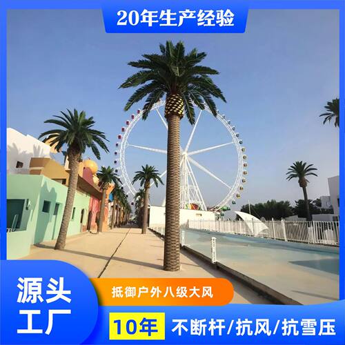 仿真加拿利海藻树玻璃钢假银造景