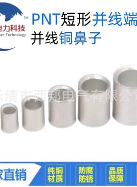 PNT1-PNT2国标中间平行端子紫铜直通柱对接裸接头并线端子中间管