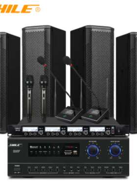 SHILE/狮乐 AV-108/BX-402两对+SH20专业中小型会议室音响系统