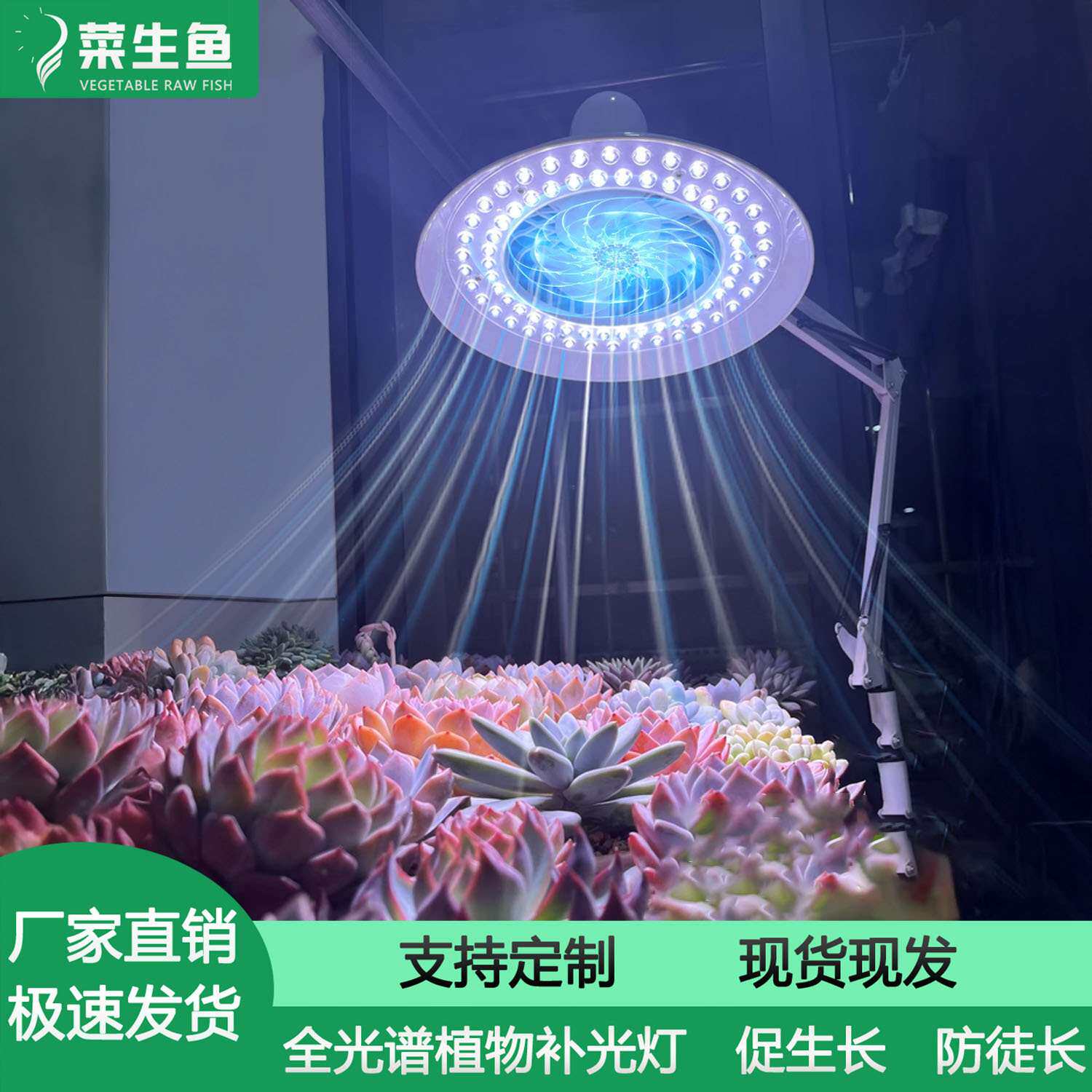 植物补光灯室内仿太阳光多肉花卉生长灯全光谱促上色新款带风扇灯