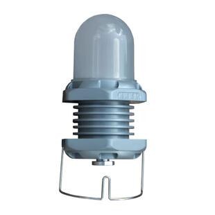 ZL8011 LED行灯 FW6325 低压安全照明灯 36V检修灯 10W泛光灯