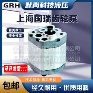上海国瑞GRH齿轮泵Group1液压泵1PF1.1L01B02 1PF1.3L01B02 油泵