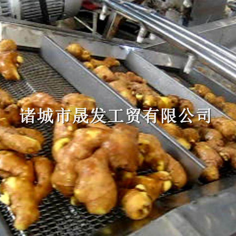 全自动鲜姜清洗机 山东姜母压喷淋清洗机 大姜清洗机原理解析