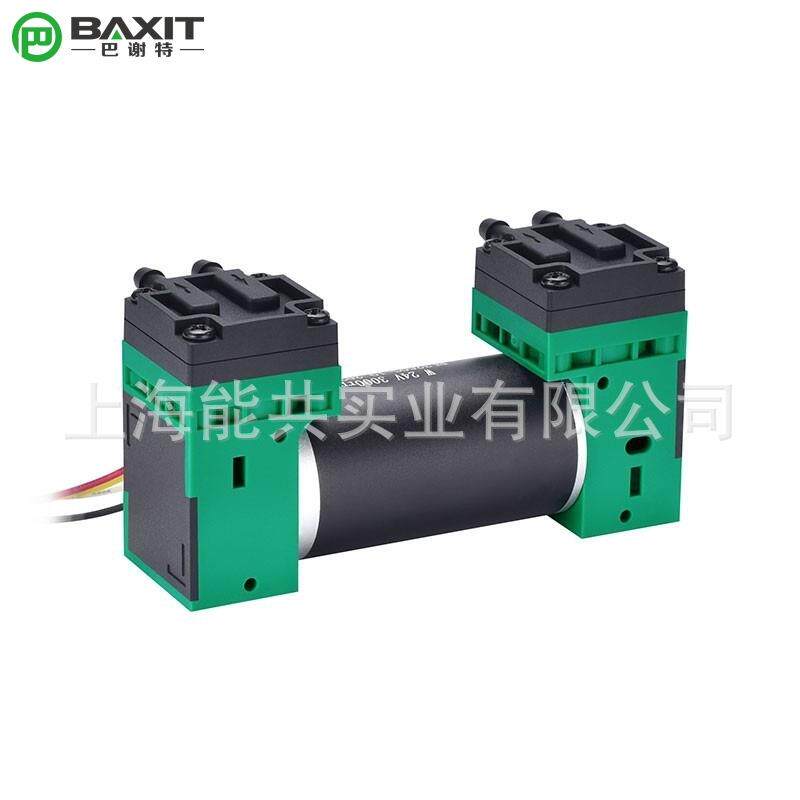 双头微型真空泵12V负压泵24V小型打气泵可调速无刷压力泵G4BL-2泵