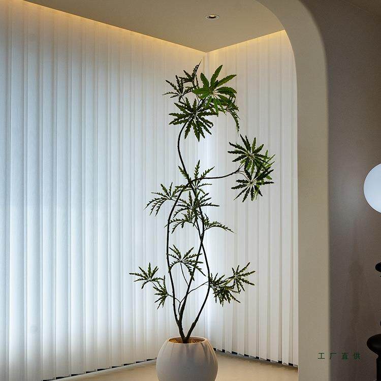 孔雀木招财树仿真绿植电视柜客厅装饰摆件假大型落地盆栽