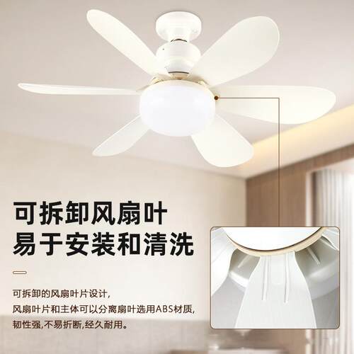 跨境E27螺口花形风扇灯 现代简约可拆卸扇叶灯创意家用彩色吊扇灯