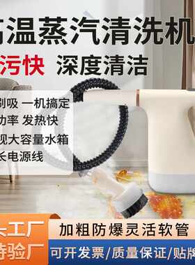 金正高温高压蒸汽清洁机家用小型厨房空调家电油烟机清洗机消毒机