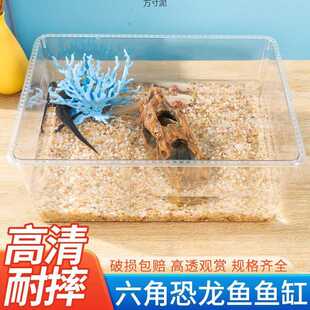 六角专用缸蝾螈饲养缸桌面鱼缸透明带盖蝾螈宠物鱼缸加厚塑料